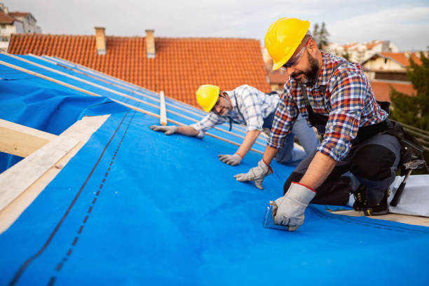 Roof Gutter Cleaning in Port Orchard, WA